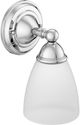 Moen® Brantford™ Chrome One Globe Bath Light-0