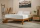 Sleeptone® Basics 12" Green Tea Memory Foam Medium Smooth Top King Mattress in a Box-4