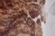 Feizy Bartlett Exotic Light Large Rug-2