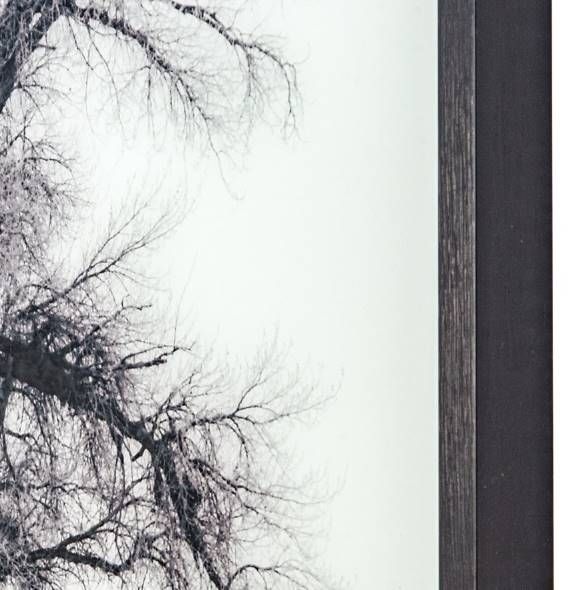 YHD Winter's Morning Fog II Wall Art-2