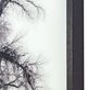 YHD Winter's Morning Fog II Wall Art-2