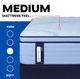 Sealy® Posturepedic® Plus Northbrook 15" Wrapped Coil Medium Euro Pillow Top California King Mattress-5