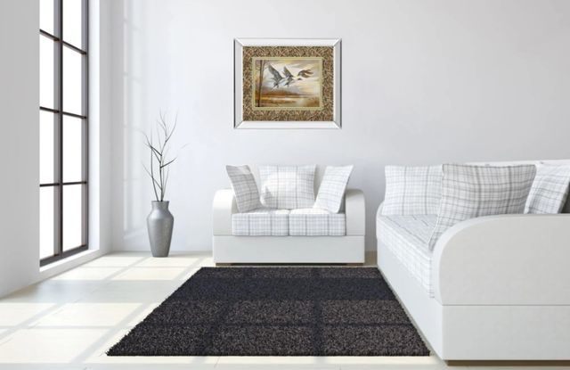 Classy Art Pintails by Ruanne Manning Mirror Framed Wall Art-3