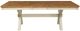 TEI Quinton Pecan Extension Dining Table with Sand Base-1