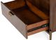 VIG Furniture Modrest Shane Brass/Dark Acacia Dresser-2