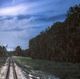 YHD Railway to the Moon Wall Art-3