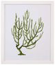Bassett Mirror Souvenirs Coral lll Framed Print-0