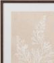 Bassett Mirror Marine Species 4-Piece Framed Print Set-1