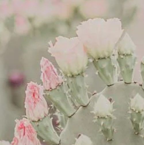 Classy Art Blooms Abound I by Jennifer Rigsby Wall Art-1