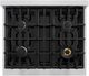 ZLINE Classic 30" Satin Stainless Steel Pro Style Dual Fuel Range-4