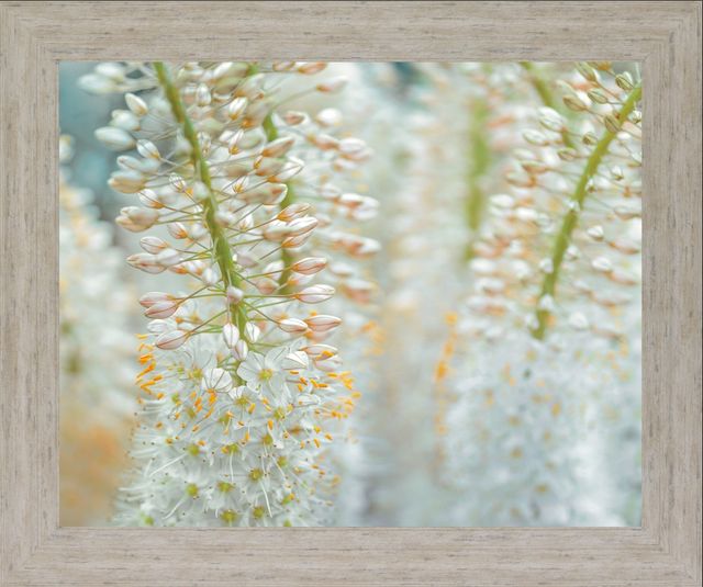 Classy Living Whispering Blossoms Wall Art-0