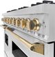 ZLINE Classic Autograph Edition 48" Stainless Steel Pro Style Dual Fuel Range with Polished Gold Accents-4
