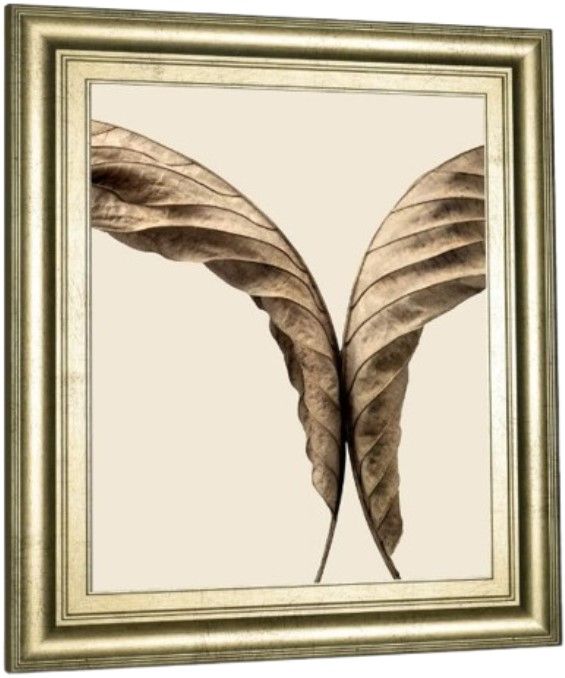 Classy Living Jeff Friesen Turning Leaves Il Wall Art-3