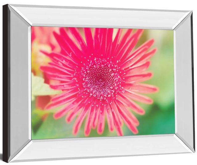 Classy Art Pink Gerbera by Susan Bryant Mirror Framed Wall Art-0