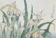 Stylecraft King Fisher with Irises Wall Art-1