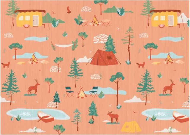 Nourison Home™ Imagination IMA21 5'x7' Style 8 Kids Area Rug-0