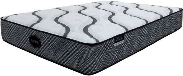 Restonic® Orthopedic IV Hybrid 13" Firm Tight Top King Mattress-0