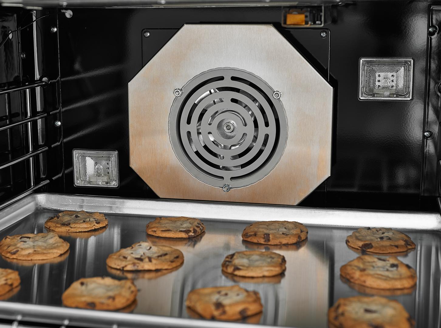 BlueStar Platinum Series Gas Range