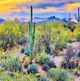 YHD Saguaro Sunset Wall Art-4