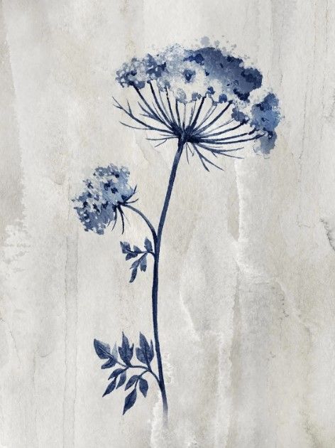 Classy Art Indigo Botanical I by Conrad Knutsen Wall Art-0