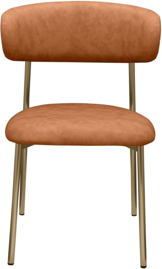 Meridian Furniture Lupita Cognac/Gold Vegan Leather Dining Chair-1