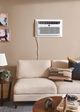 Frigidaire® White Through The Wall Air Conditioner-5