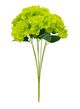 A & B Home Green Hydrangea Bush-0