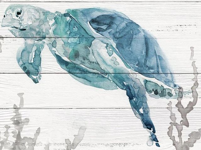Classy Art Aqua Turtle II by Carol Robinson Wall Art-1