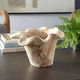 Uttermost® Teak Flow White Wash Wooden Indoor-Outdoor Bowl-1