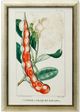 Stylecraft Green/Light Green/Off-White/Orange Wall Art-0