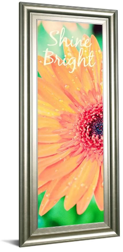 Classy Art Shine Bright Daisy by Susan Bryant Framed Print Wall Art-0