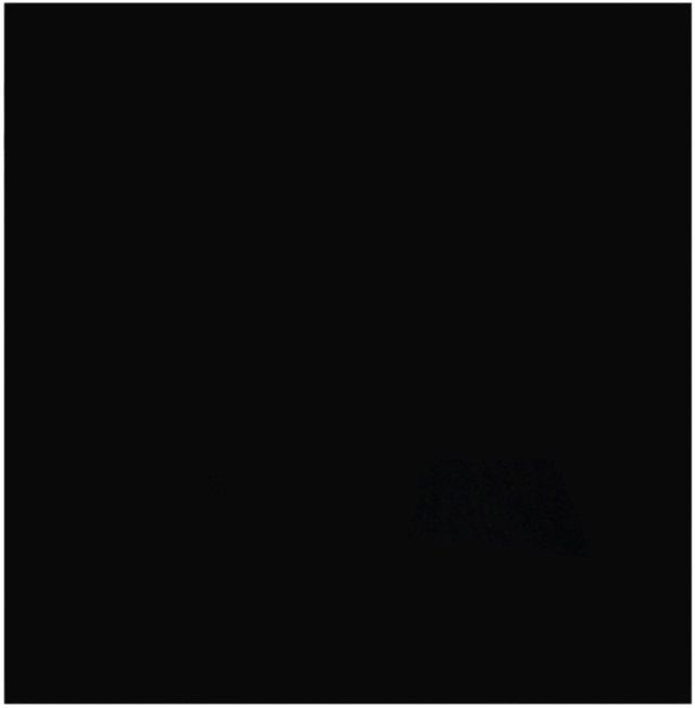 Zephyr Black Charcoal Filter Replacement-0