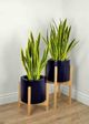 Le Present Century Navy Blue 27" Planter-5
