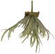 A & B Home Light Green Faux Mature Reindeer Grass Stem-0