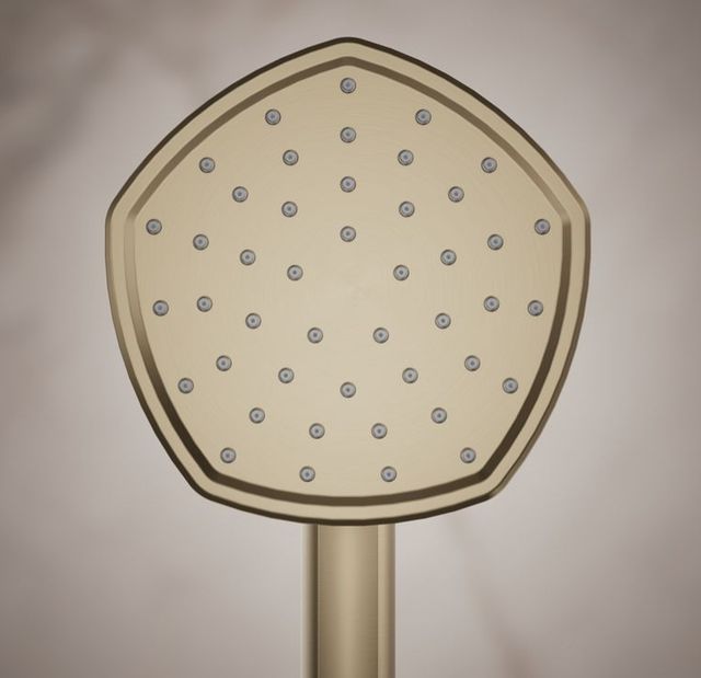 KOHLER® Occasion® Vibrant Brushed Bronze 1.75 GPM Single-Function Handshower-2