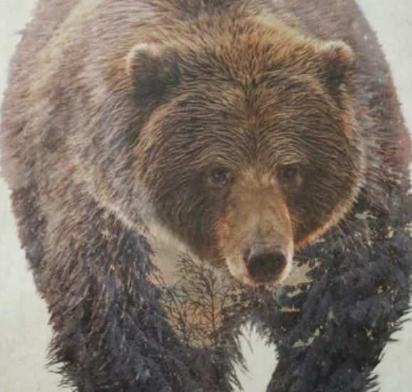 Stylecraft Brown Bear Walking Wall Art -1
