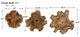 Uttermost® Kalani 3-Piece Natural Wall Decor Set-3