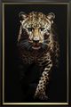 Classy Living Untamed Leopard Walking Double Frame Wall Art-0
