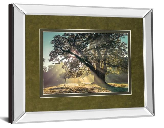 Classy Art Breaking Through by A. Frank Mirror Framed Wall Art-1