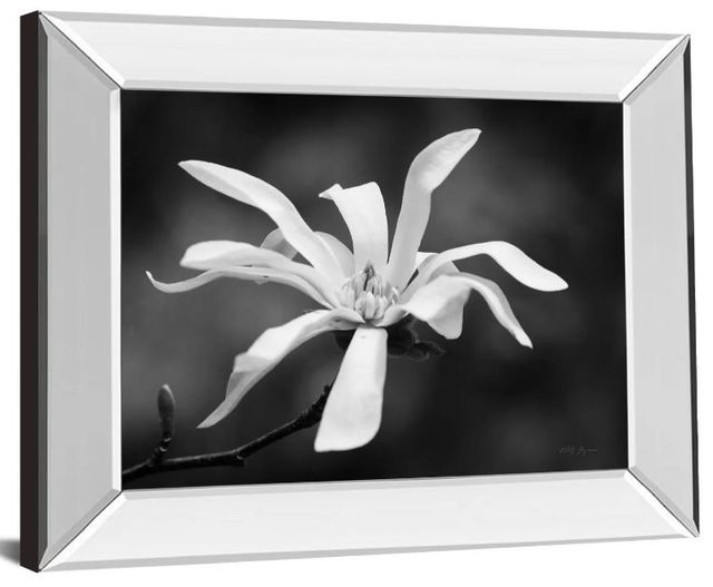 Classy Art Magnolia Dreams I by Geyman Vitaly Mirror Framed Wall Art-1