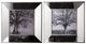 A & B Home 2-Piece Vintage Silver Reflective Wall Art Set-1