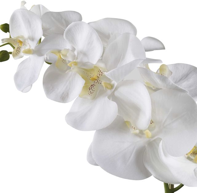 Uttermost® Cami Green/White Orchid-3