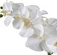 Uttermost® Cami White Orchid-3