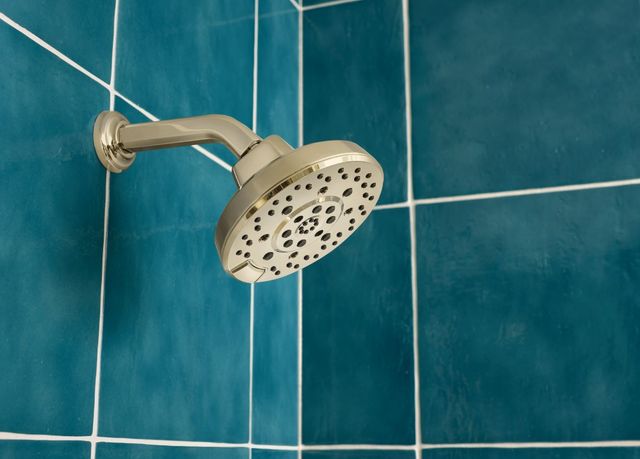 Brizo Levoir® Brilliance® Polished Nickel 7 1/2" Shower Arm And Flange-1