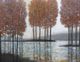 StyleCraft Island and Streams Wall Art-1