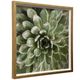 Stylecraft Succulent Verde II Brown/Green Wall Art-0