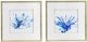 A & B Home 2-Piece Blue/Gold Framed Wall Art-0