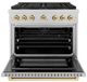 ZLINE Autograph Edition Paramount 36" 5.2 Cu. Ft. Satin Stainless Steel Dual Fuel Range with 6 Burner DuoPro™ Cooktop and Electric Convection Oven in Polished Gold Accents-3