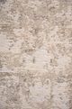 Renwil® Monrovia Sand 5' X 7' Area Rug-3