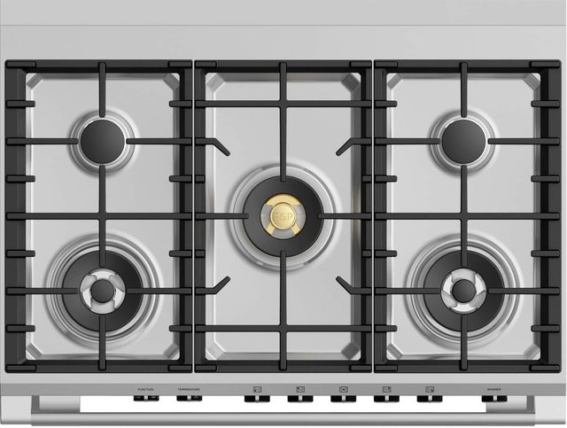 Fisher & Paykel 36" Brushed Stainless Steel Pro Style Dual Fuel Range-1